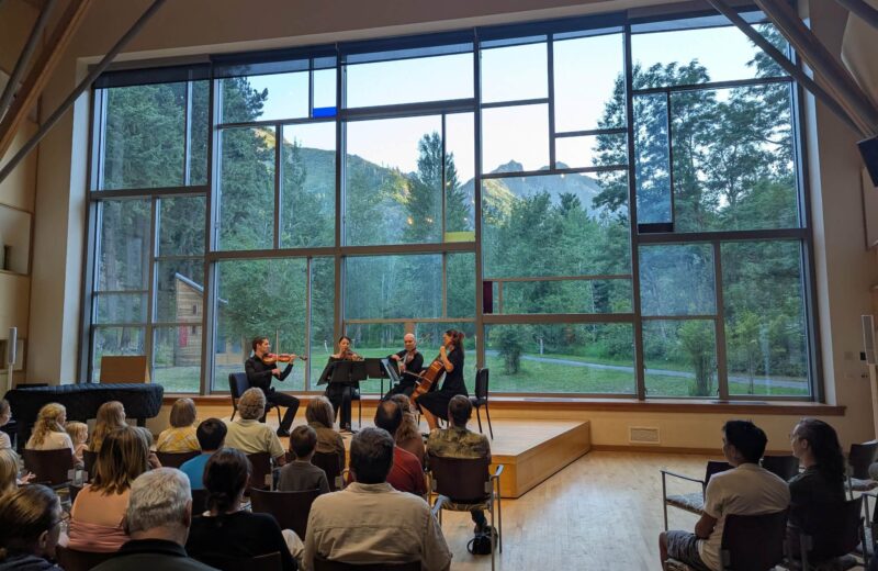 03e0d50b-ca90-42fb-820c-777345e7ea11