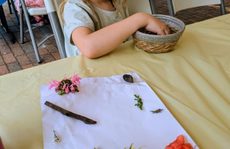 64833818-5cb2-4590-81d8-81c5884fb466