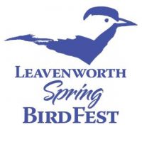 Bird Fest Logo