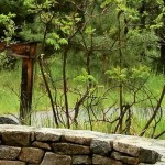 deer-through-window