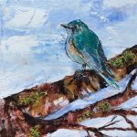 Dillon – red flanked bluetail