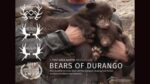 Durango