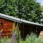 lupin-cabins