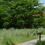 About Icicle Creek Center for the Arts