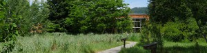 About Icicle Creek Center for the Arts